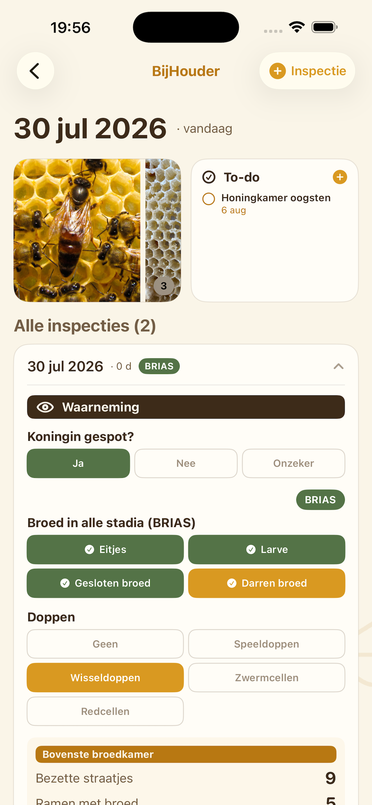 Overzicht van kast inspectie